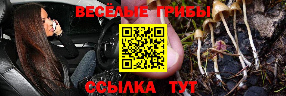 Псилоцибиновые грибы ЛСД  Вход с VPN  Керчь 